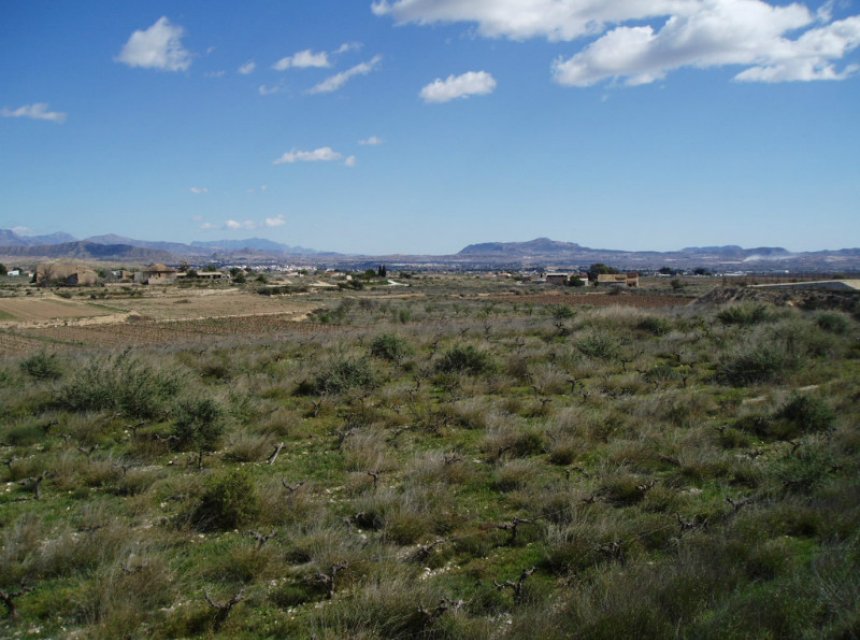 Revente - Plot of Land -
La Romana