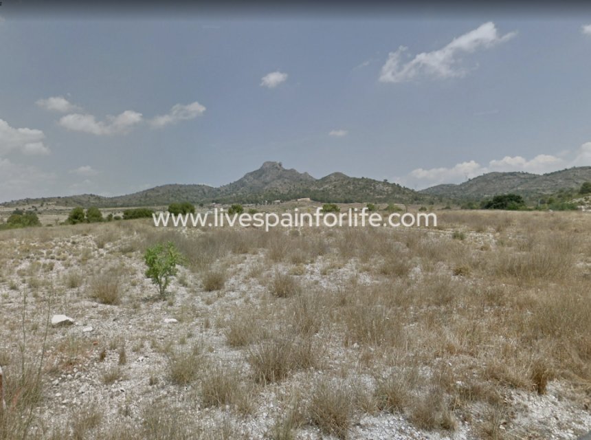 Revente - Plot of Land -
Salinas