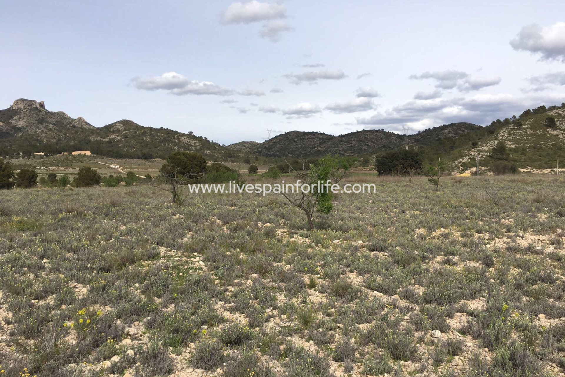 Revente - Plot of Land -
Salinas
