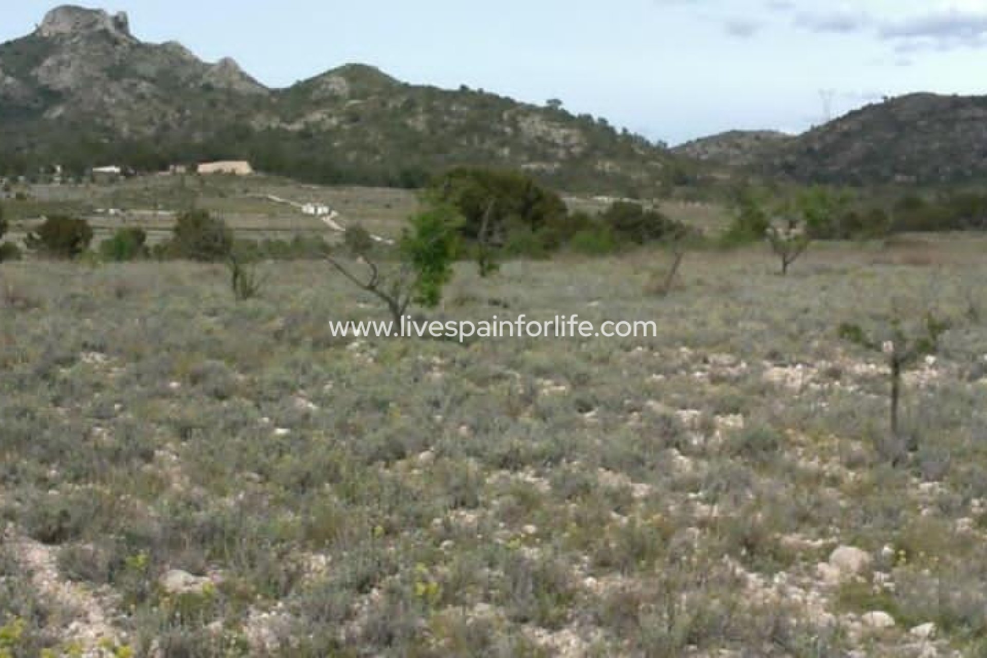 Revente - Plot of Land -
Salinas