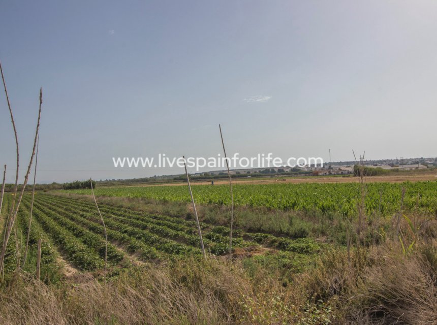 Revente - Plot of Land -
San Fulgencio