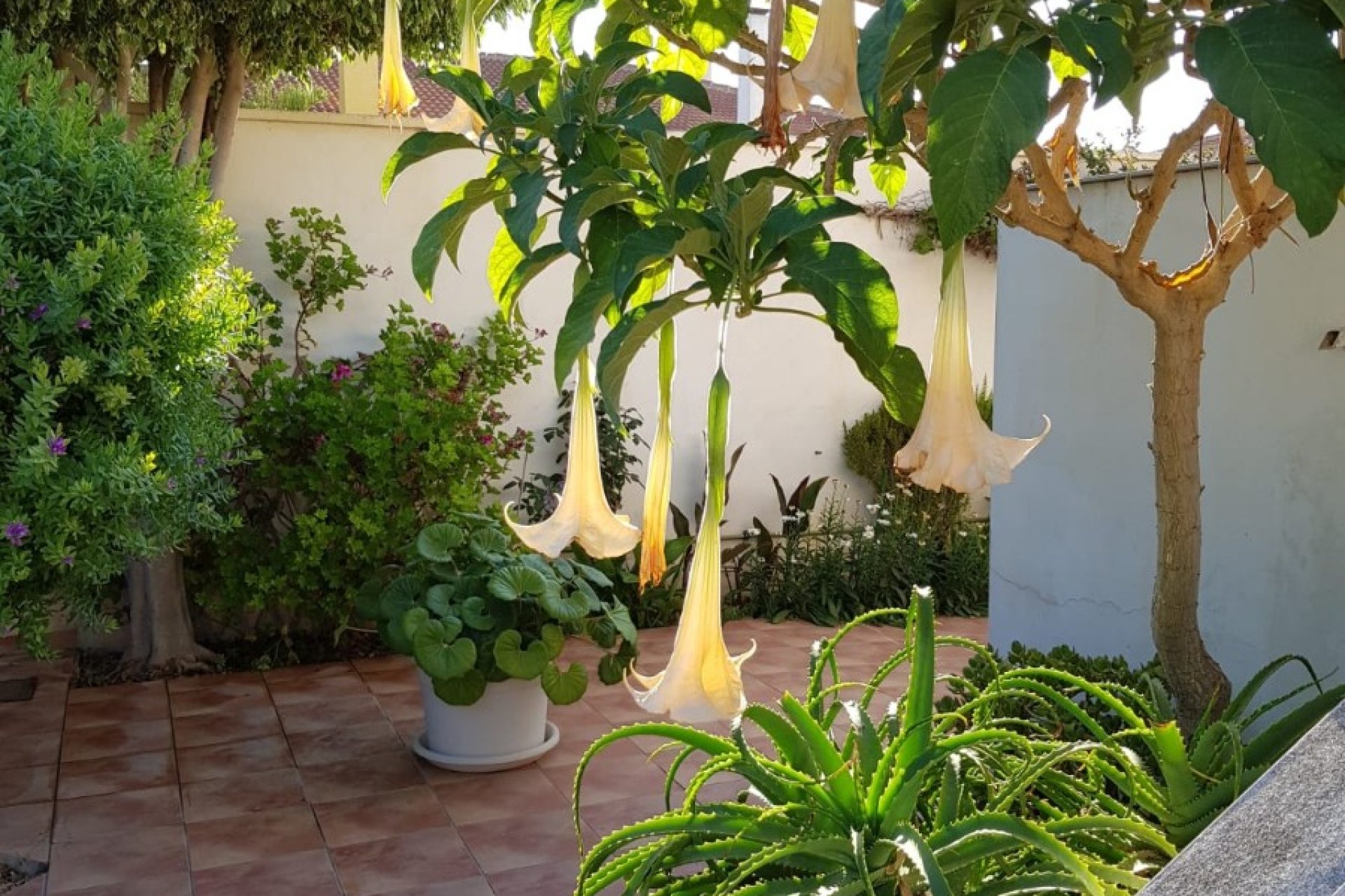 Revente - Semi-detached house / Quad -
San Javier - Santiago de la Ribera