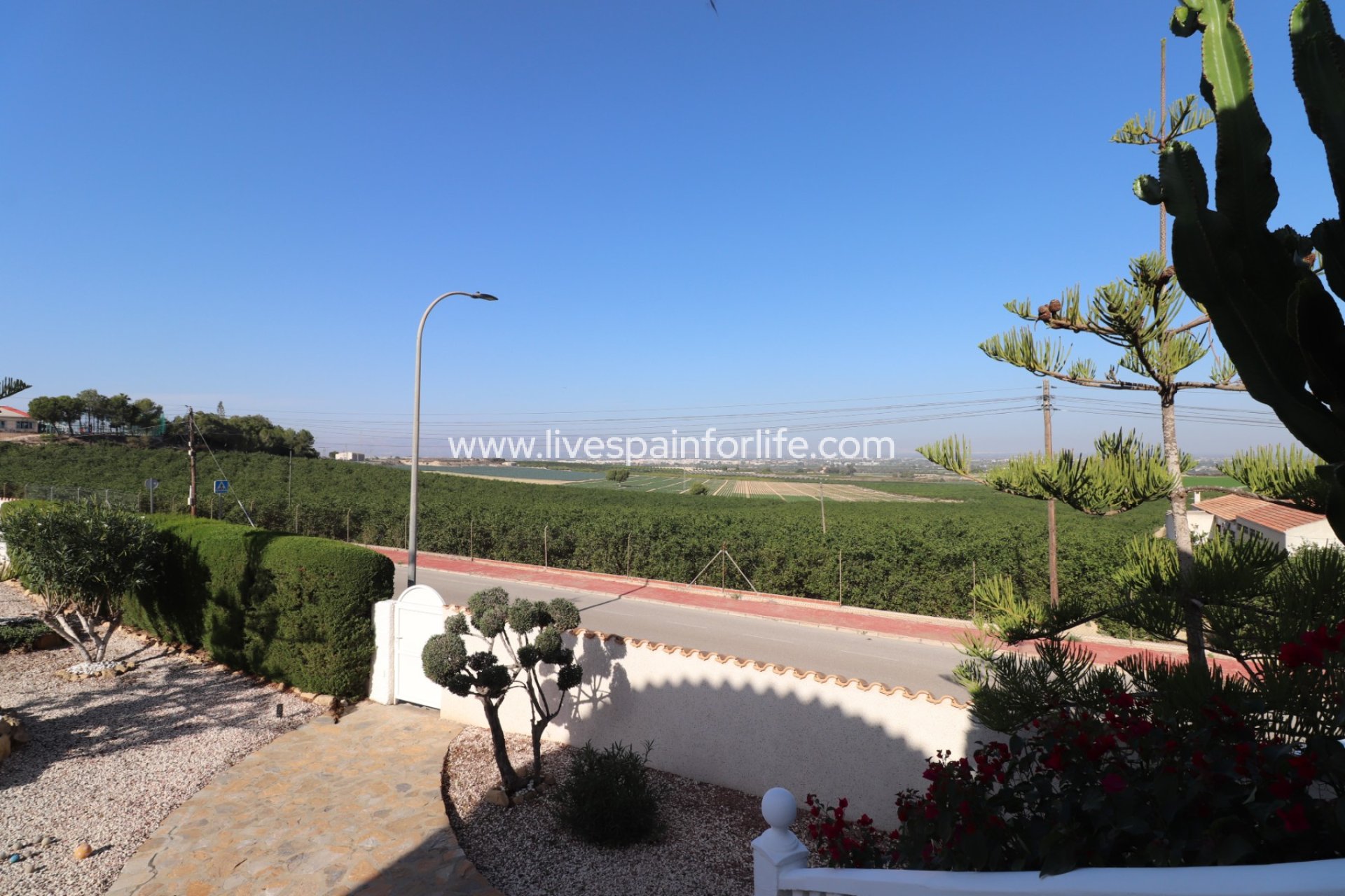 Revente - Villa (indépendant) -
Algorfa - Lomas de La Juliana