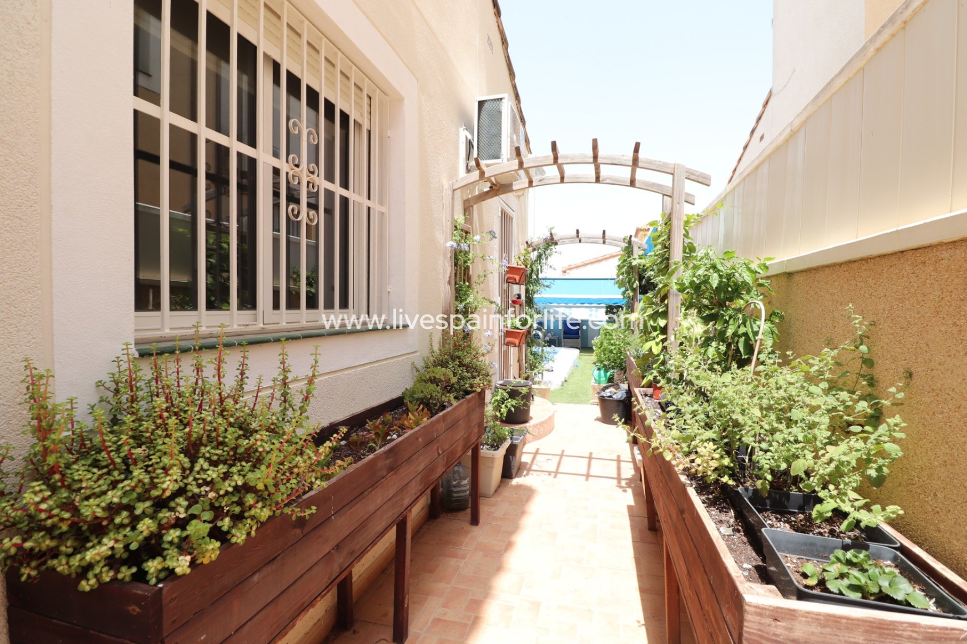 Revente - Villa (indépendant) -
Algorfa - Montebello