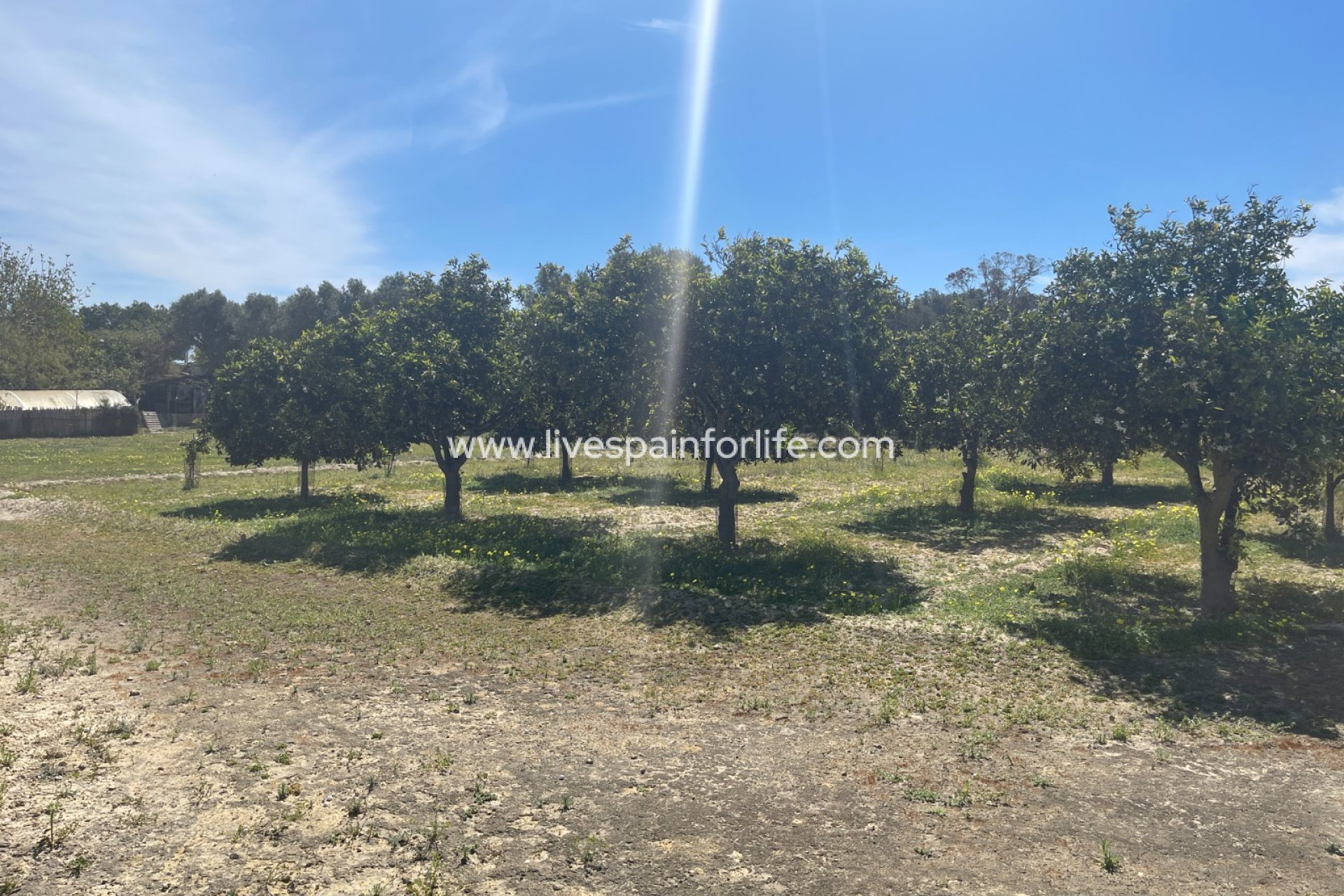 Revente - Villa (indépendant) -
Guardamar del Segura - Valencian Community