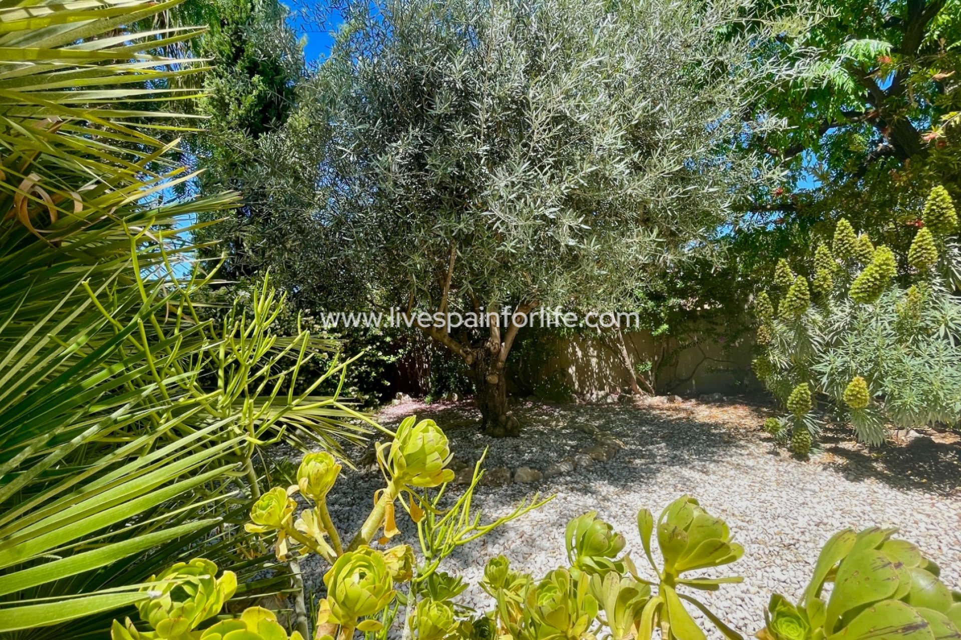 Revente - Villa (indépendant) -
Hondon De Las Nieves