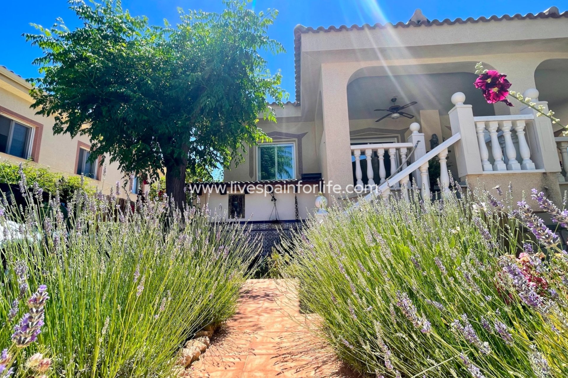 Revente - Villa (indépendant) -
Hondon De Las Nieves