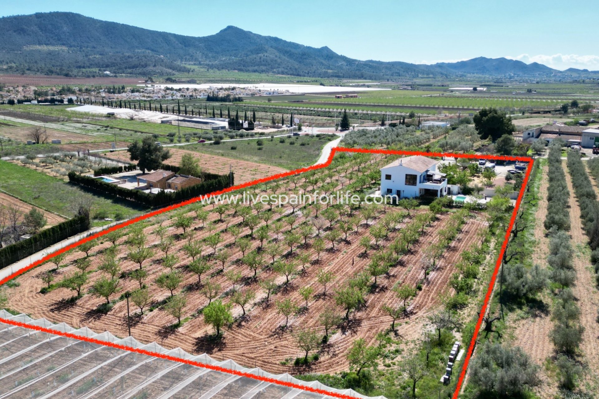 Revente - Villa (indépendant) -
Hondon De Las Nieves