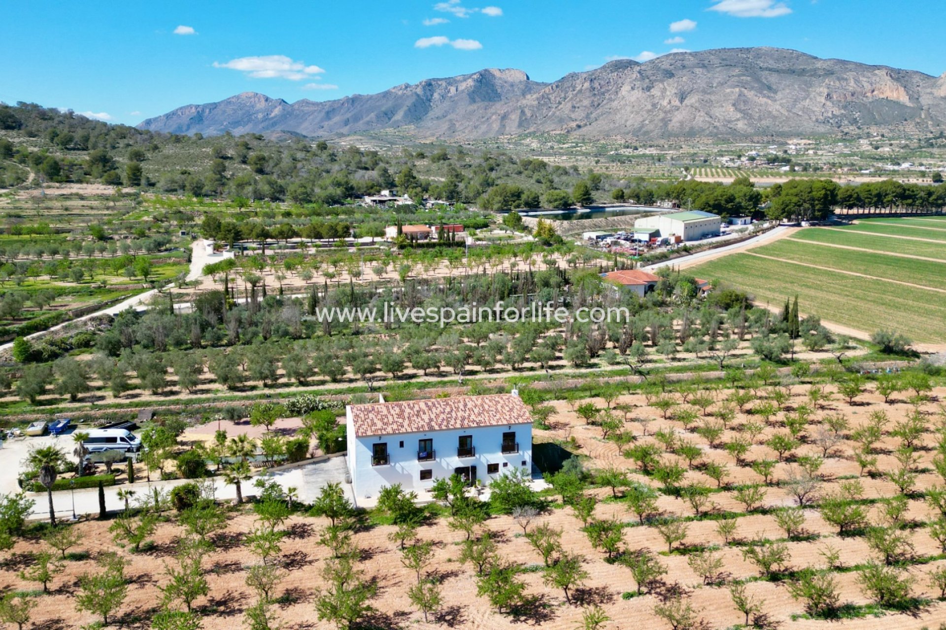 Revente - Villa (indépendant) -
Hondon De Las Nieves
