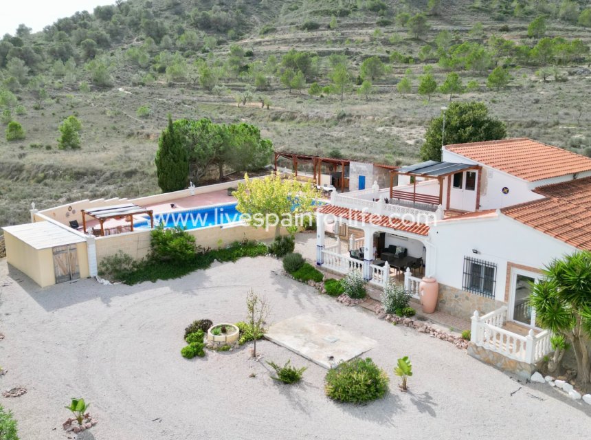 Revente - Villa (indépendant) -
Hondon De Los Frailes