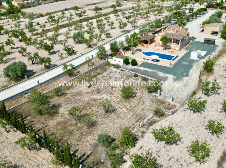 Revente - Villa (indépendant) -
Hondon De Los Frailes