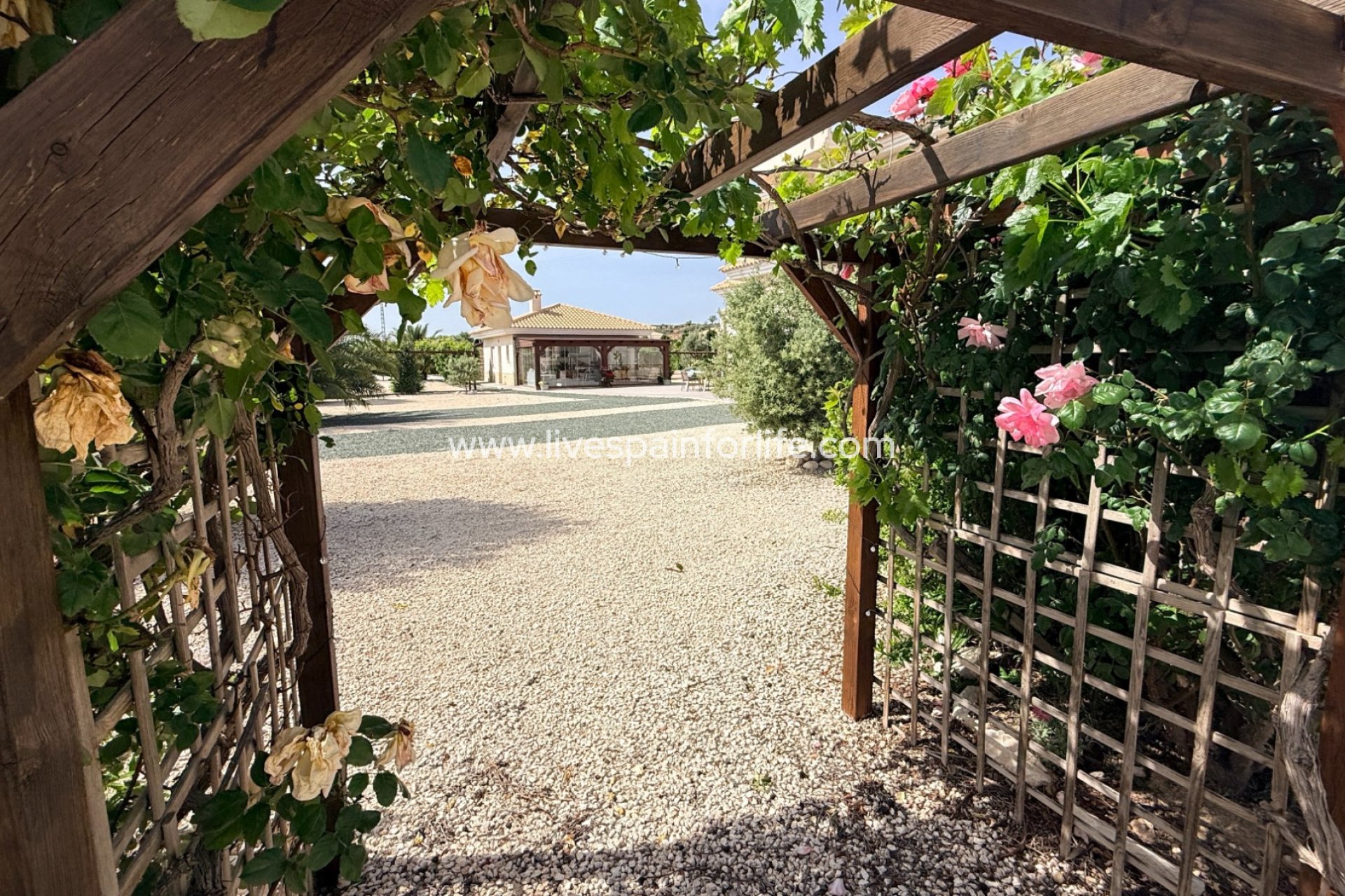 Revente - Villa (indépendant) -
Pinoso