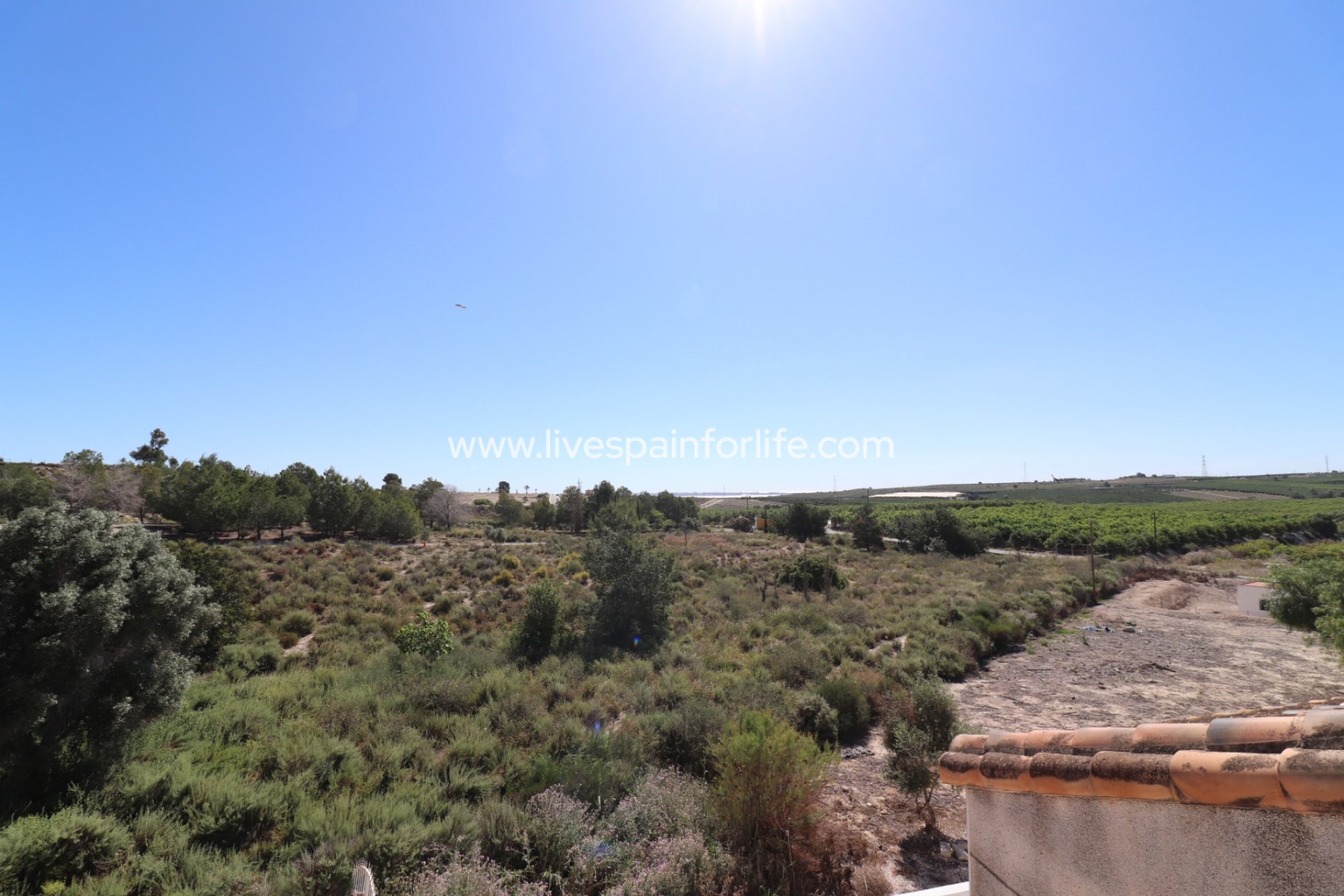 Revente - Villa (indépendant) -
San Miguel De Salinas - Lake View Mansions