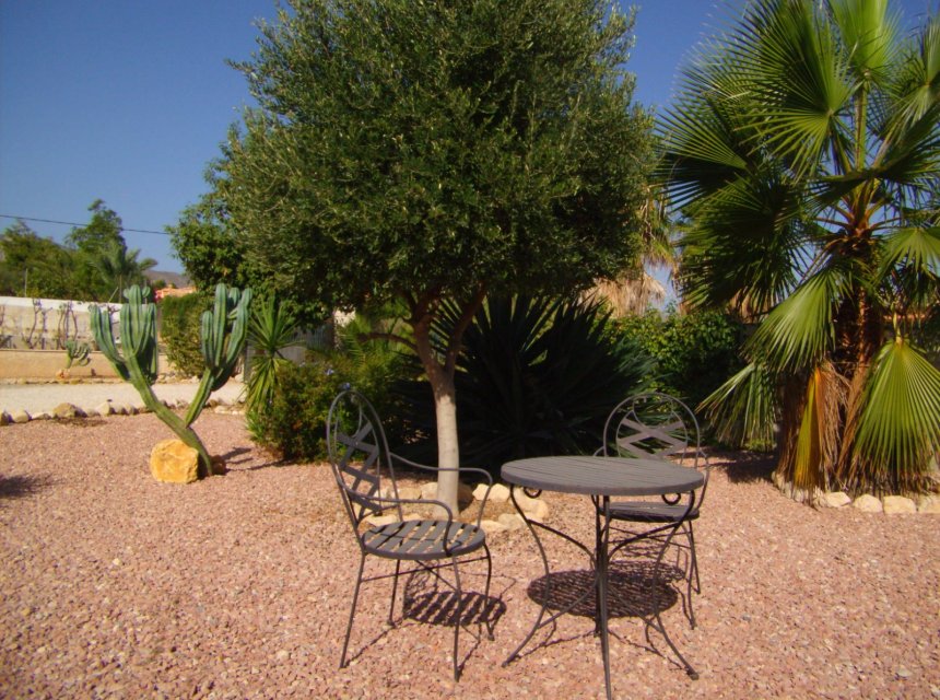 Short Term Rental - Country Property -
Albatera