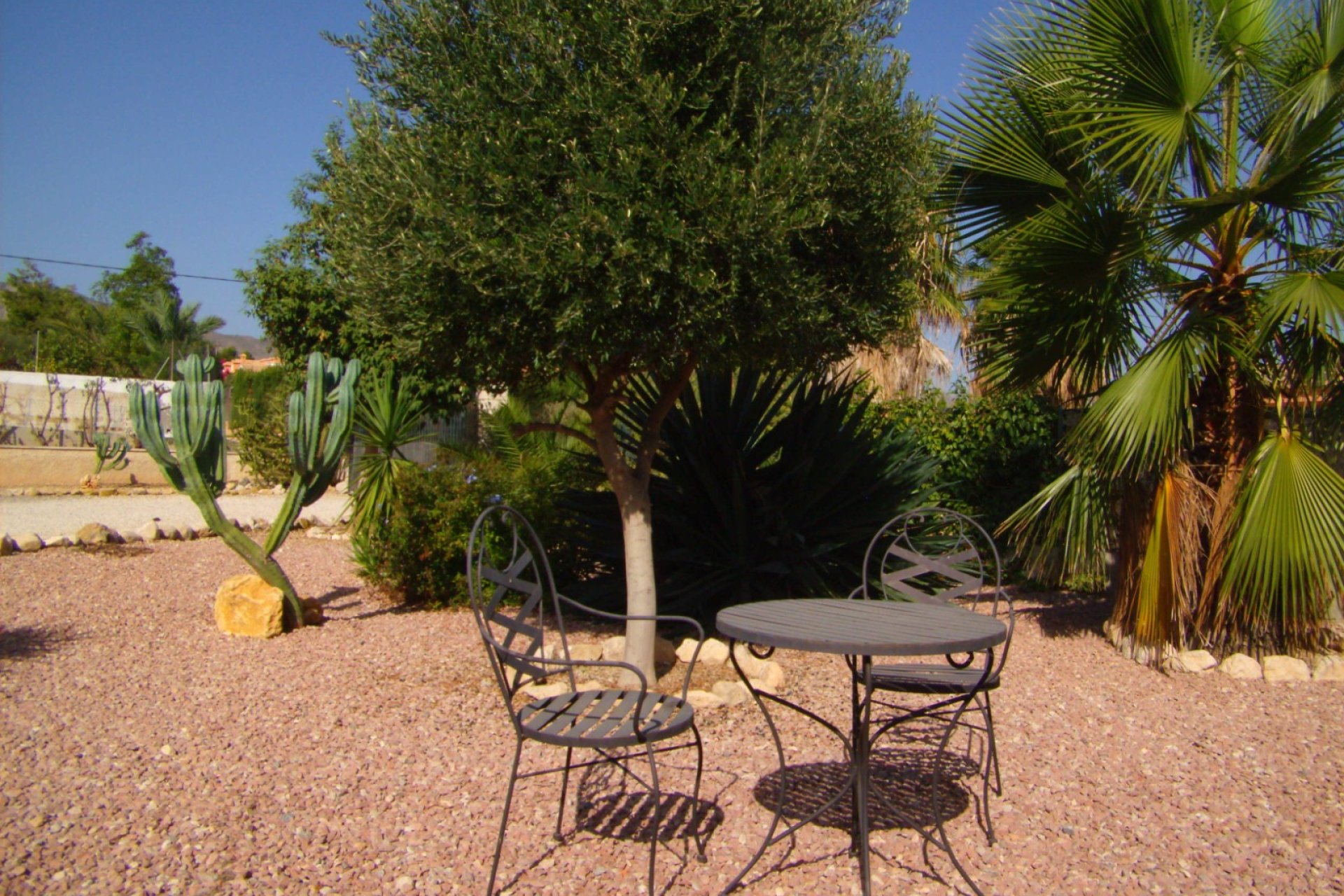 Short Term Rental - Country Property -
Albatera