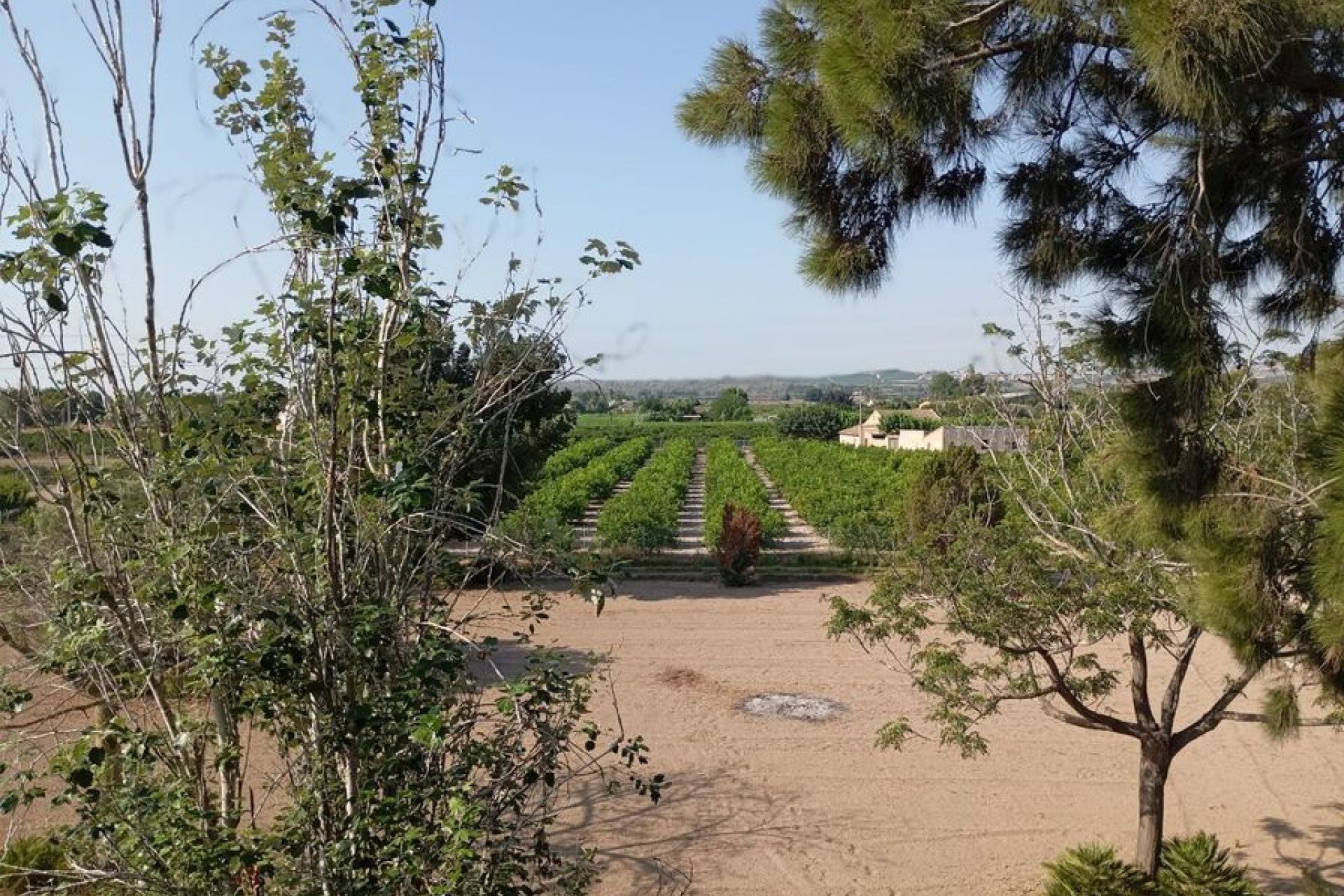  - Villa (alleenstaand) -
Daya Nueva