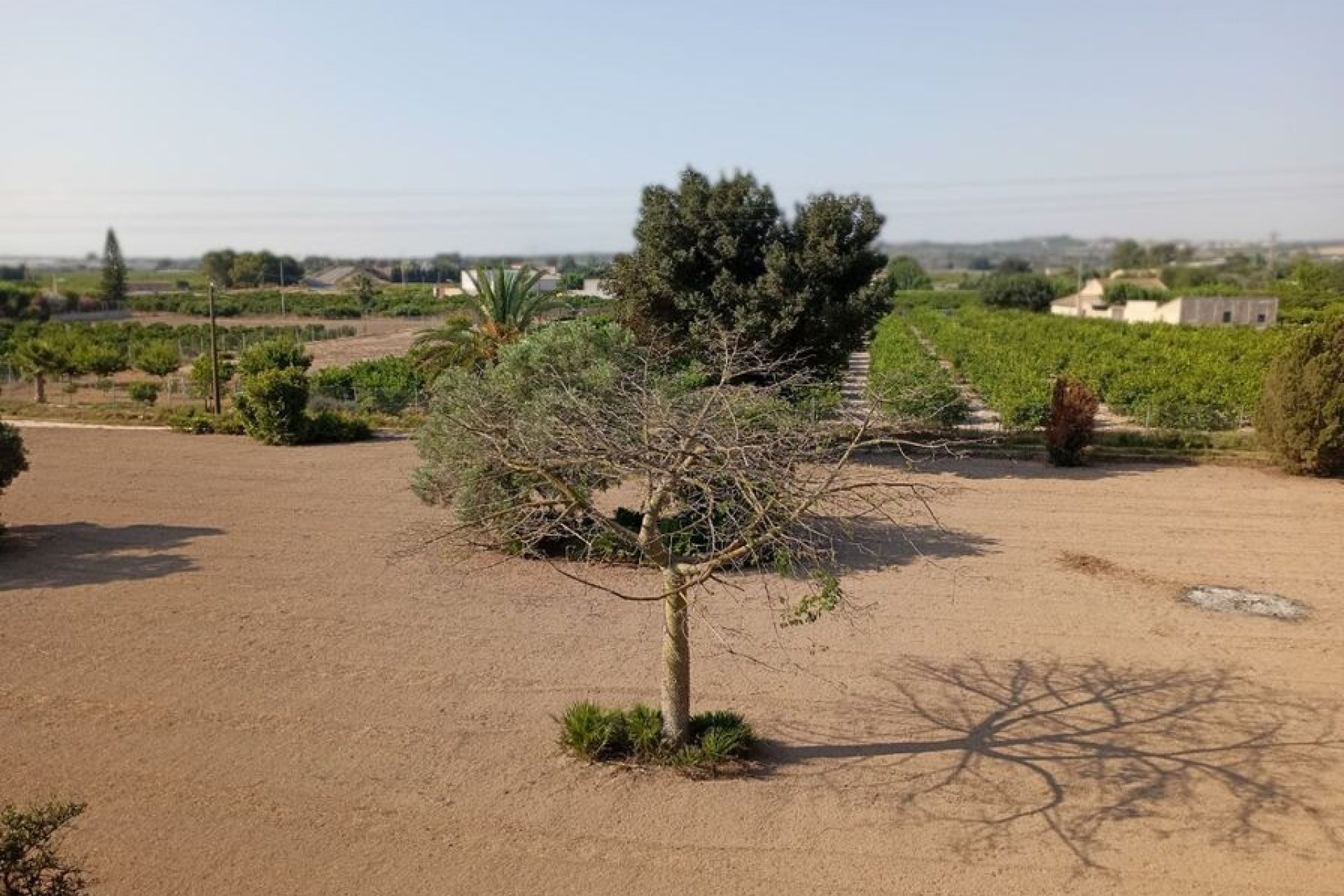  - Villa (alleenstaand) -
Daya Nueva