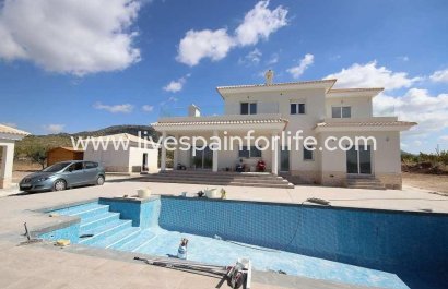 Villa (alleenstaand) - Nieuwbouw - Pinoso - Camino Del Prado