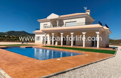 Villa (alleenstaand) - Nieuwbouw - Pinoso - Camino Del Prado