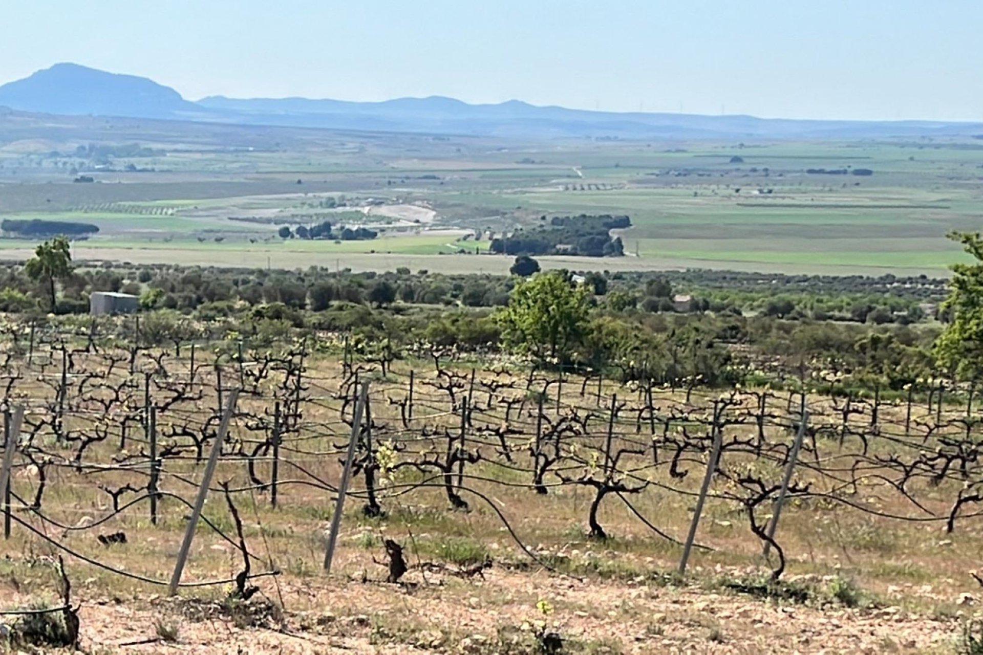  - Villa (alleenstaand) -
Yecla