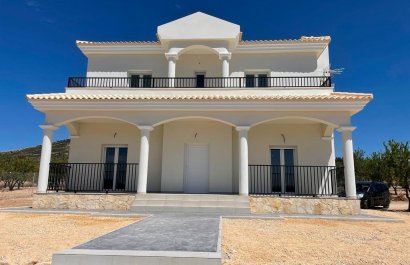 Villa (detached) - New build - Pinoso - Camino Del Prado