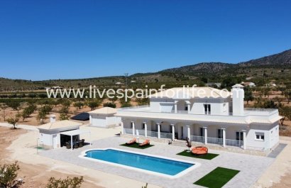 Villa (detached) - New build - Pinoso - Camino Del Prado