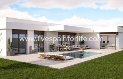 Villa (detached) - New build - Pinoso -
                    Lel