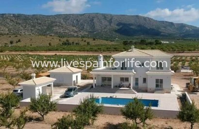 Villa (detached) - New build - Pinoso - Pinoso