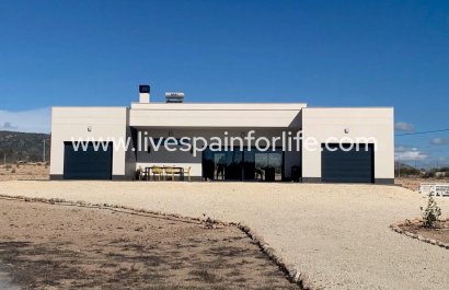 Villa (detached) - Nuevo - Pinoso - Camino Del Prado