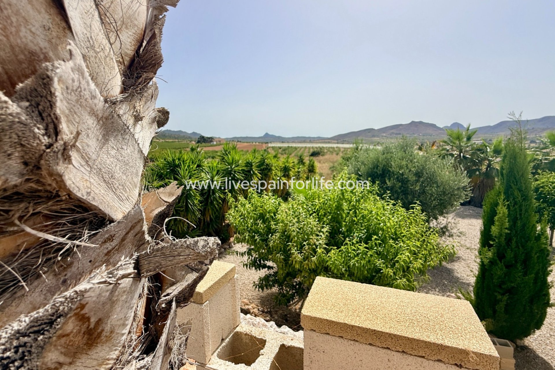  - Villa - Detached -
