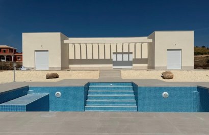 Villa (freistehende) - Neubau - Pinoso - Camino Del Prado