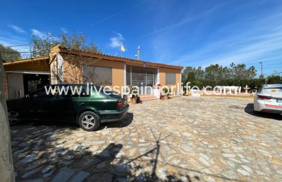 Villa (freistehende) - Weiterverkauf - Guardamar del Segura -
                    Valencian Community