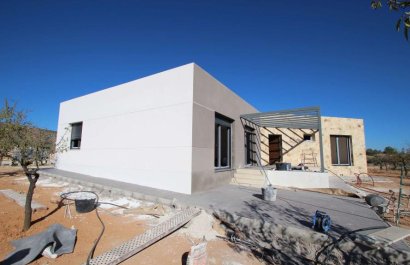 Villa (indépendant) - Nouvelle construction - Elche - Elche