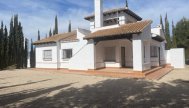 Villa (indépendant) - Nouvelle construction - Fuente Álamo
- 66101
