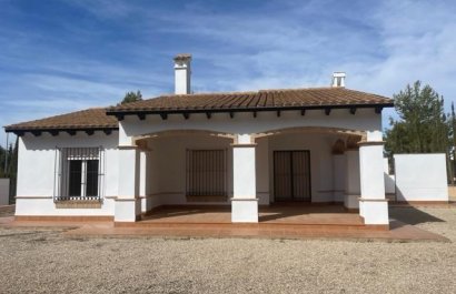 Villa (indépendant) - Nouvelle construction - Fuente Álamo - Las Palas