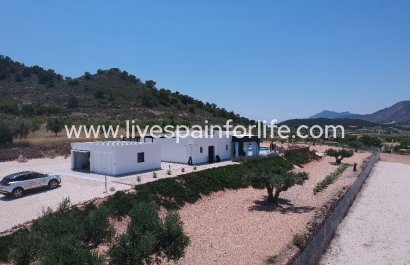 Villa (indépendant) - Nouvelle construction - Macisvenda - Macisvenda