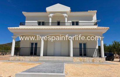 Villa (indépendant) - Nouvelle construction - Pinoso - Camino Del Prado