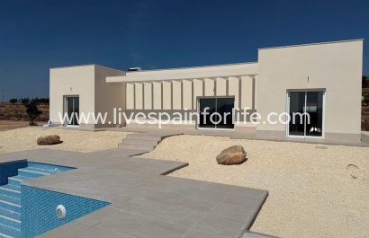 Villa (indépendant) - Nouvelle construction - Pinoso -
                    Camino Del Prado