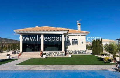 Villa (indépendant) - Nouvelle construction - Pinoso - Camino Del Prado