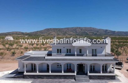 Villa (indépendant) - Nouvelle construction - Pinoso - Camino Del Prado