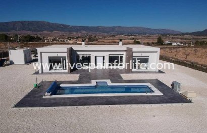 Villa (indépendant) - Nouvelle construction - Pinoso - Camino Del Prado