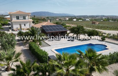 Villa (indépendant) - Revente - Pinoso -
                    Pinoso