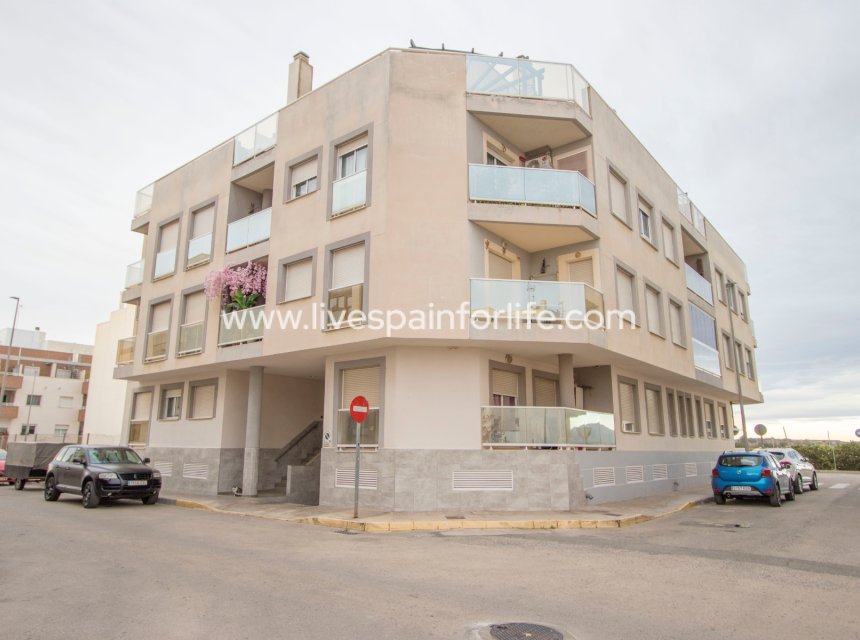 Weiterverkauf - Apartments -
Formentera Del Segura