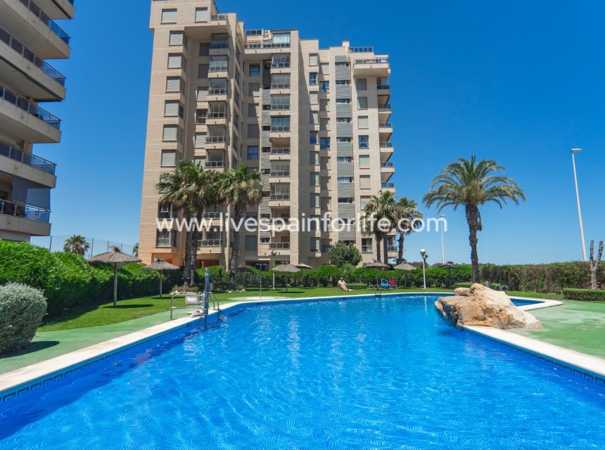 Weiterverkauf - Apartments -
Guardamar del Segura - Puerto Deportivo