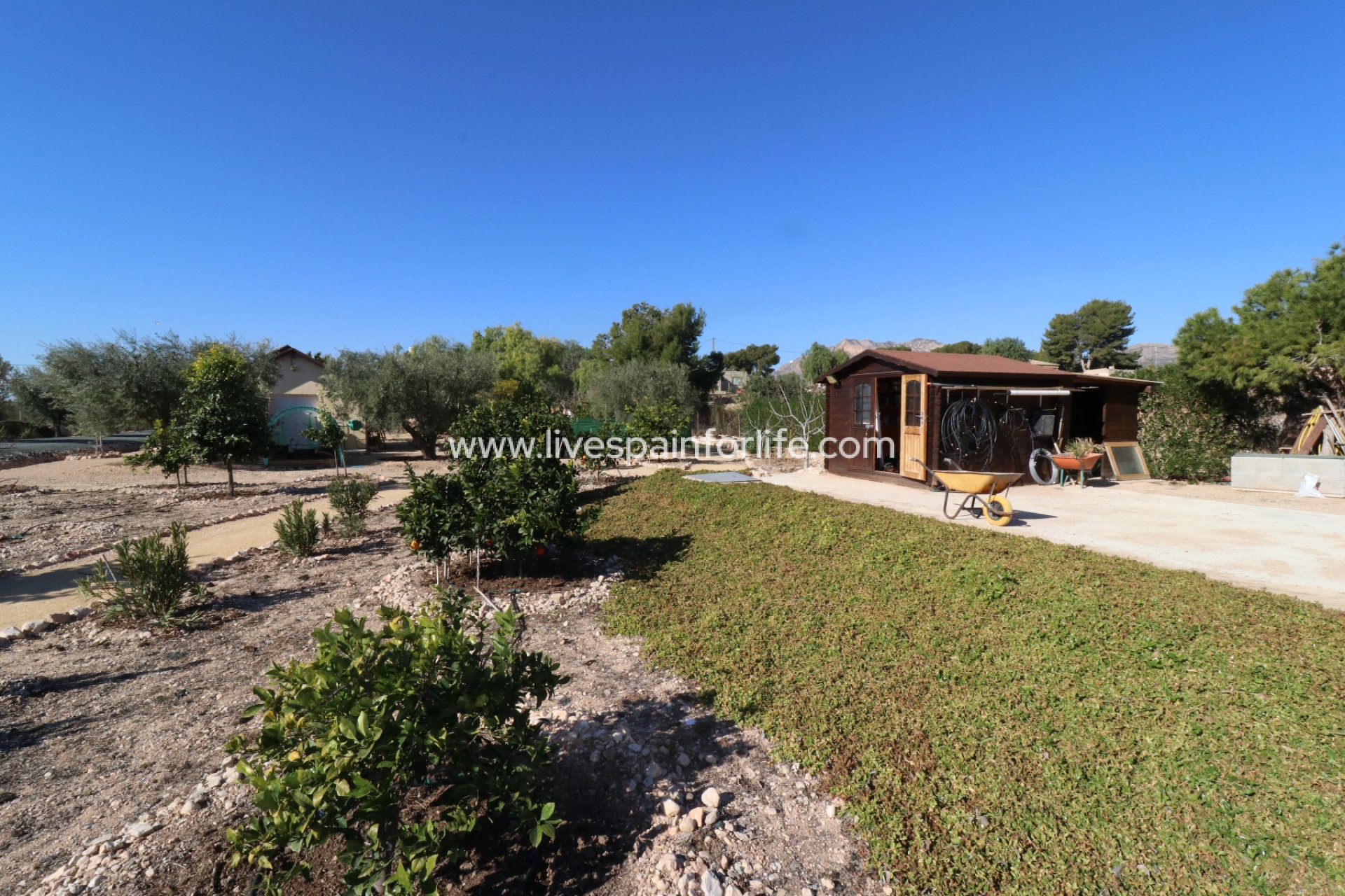 Weiterverkauf - Country house -
Albatera