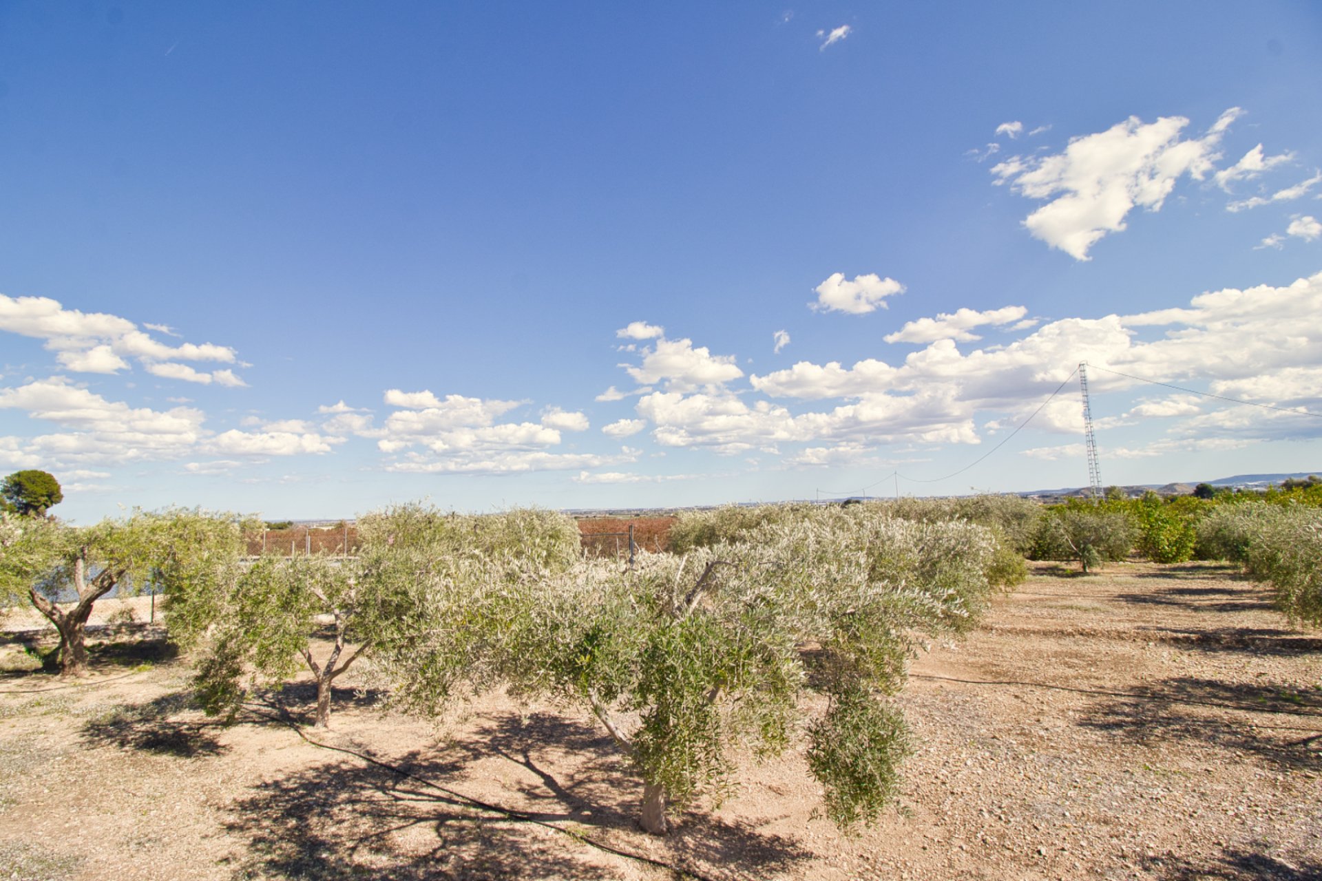 Weiterverkauf - Country house -
Albatera