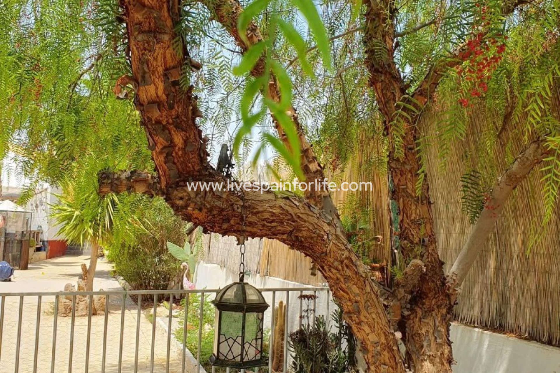 Weiterverkauf - Country house -
Alicante