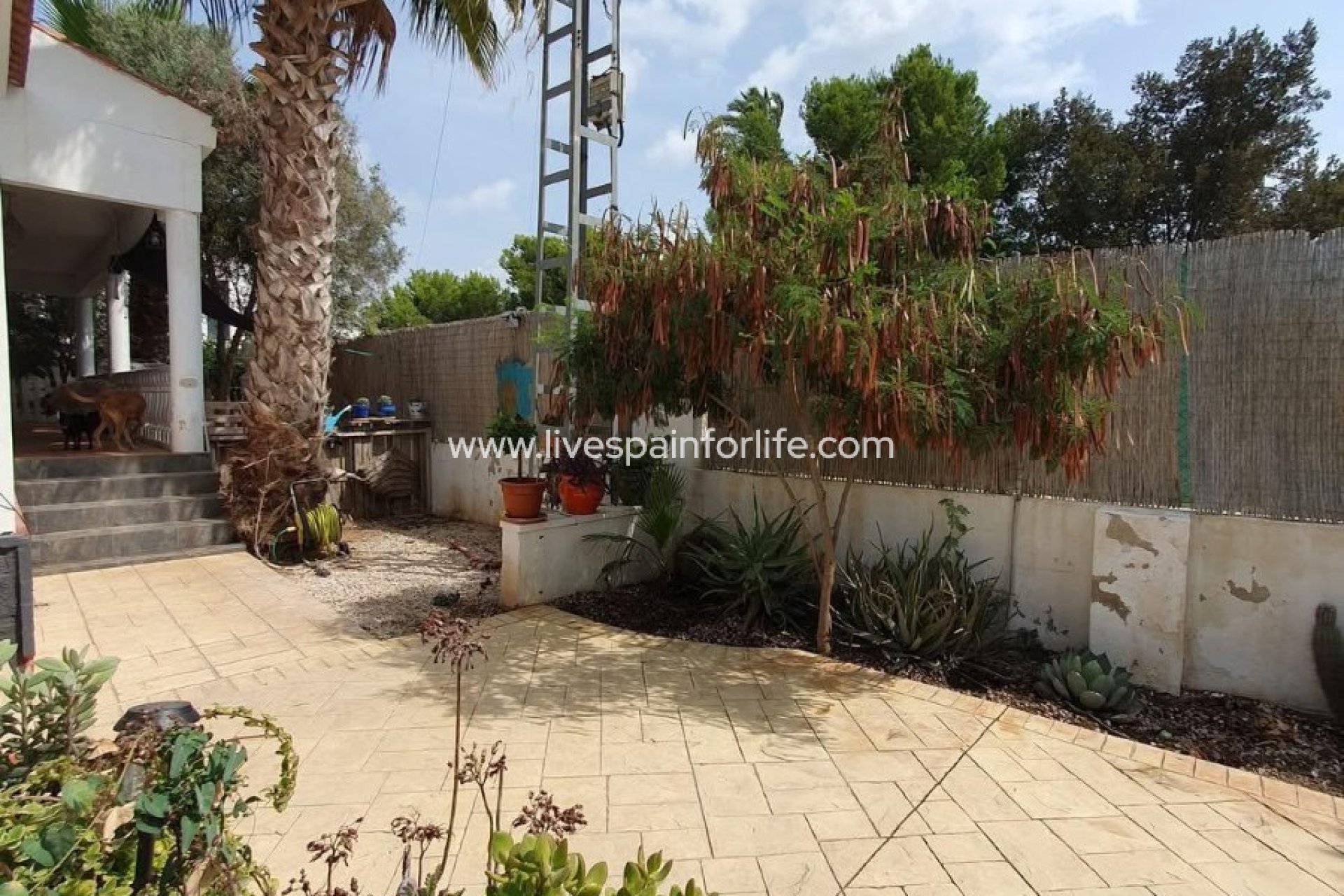 Weiterverkauf - Country house -
Alicante