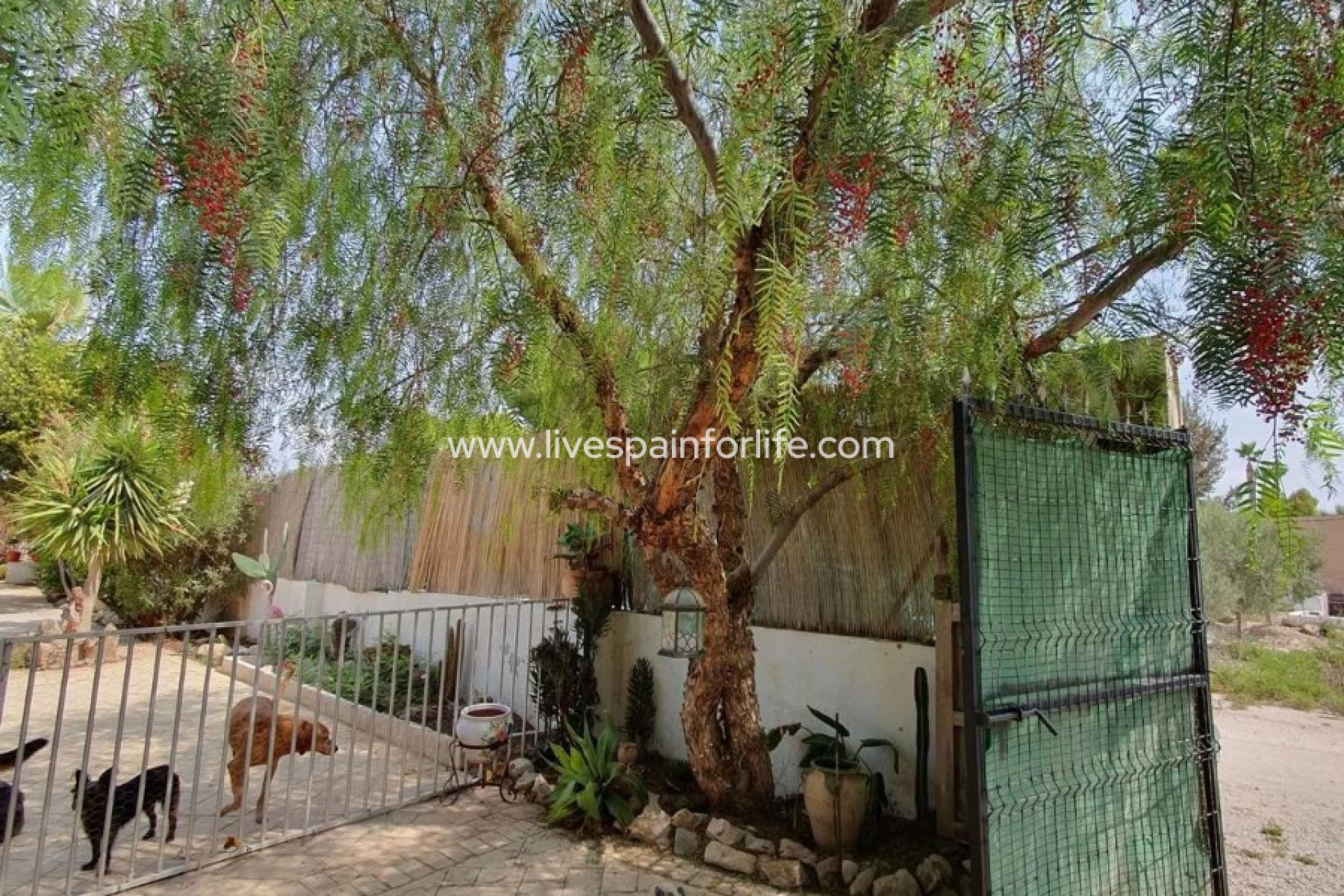 Weiterverkauf - Country house -
Alicante