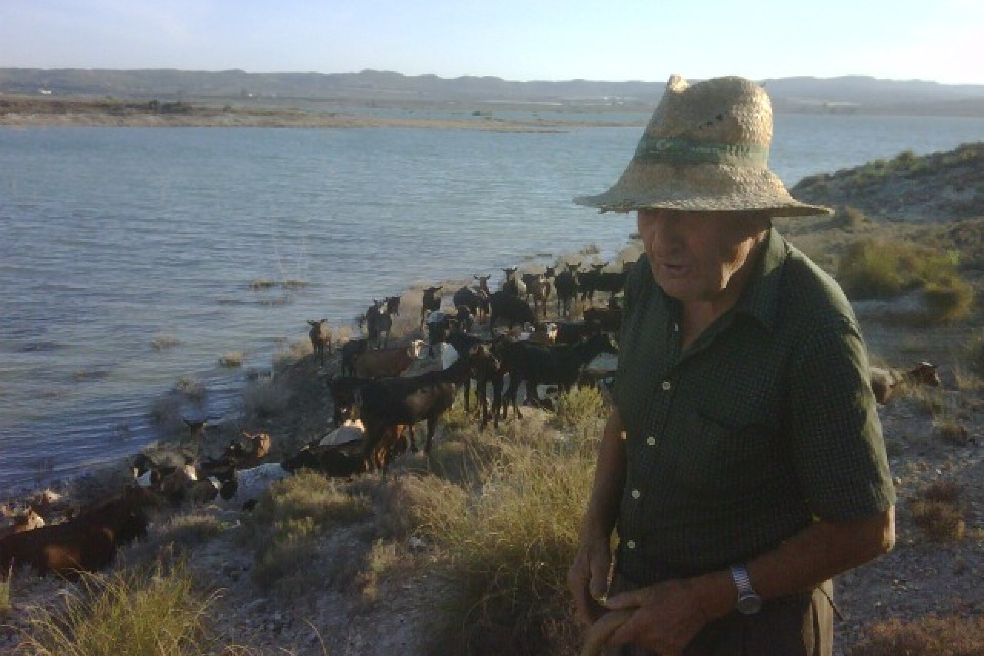 Weiterverkauf - Country house -
Alicante